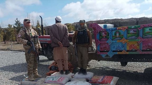 وزارت داخله طالبان ۴۵۰ کیلوگرام چرس را در پکتیا ضبط کرد