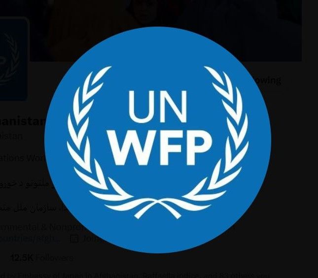 برنامه جهانی غذا: چهارصد هزار کودک مبتلا به سوءتغذیه را در افغانستان نجات دادیم