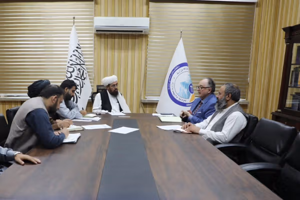نشست طالبان با مدیر اجرایی «اتاق تجارت افغانستان و امریکا» درباره جذب سرمایهگذاری