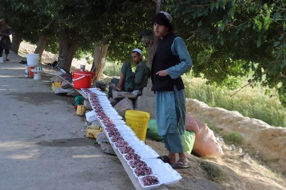 ماشومان د سړک پر غاړه توتان پلوري