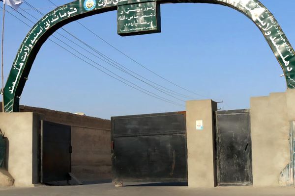 طالبانو په هلمند کي د مرغانو ۴ تنه ښکاریان نیولي دي