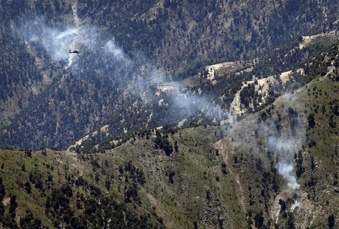 مقام طالبان می‌گوید جنگل‌های افغانستان در حال نابودی‌اند