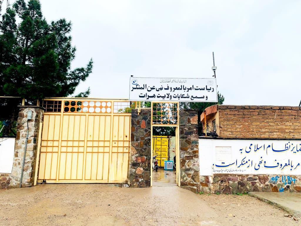 طالبان وایي په تېر یو کال کې یې په هرات کې ۲۱ کوډګر نیولي دي