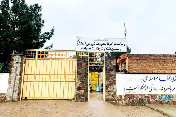 طالبان وایي په تېر یو کال کې یې په هرات کې ۲۱ کوډګر نیولي دي