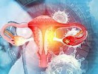 ژوند او روغتیا؛ د ایچ پي وي واکسین کولای شي د رحم سرطان ژیږدنه مړینې کمولو کې مرسته وکړي