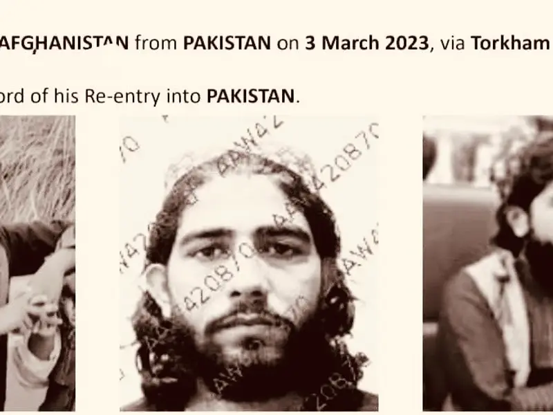 پاکستاني رسنۍ: د دیره اسماعیل خان بریدګر تر برید مخکې افغانستان ته تللی و