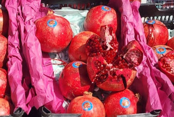 قندهار تصدر حصاد الرمان باتجاه قطر والإمارات العربية المتحدة