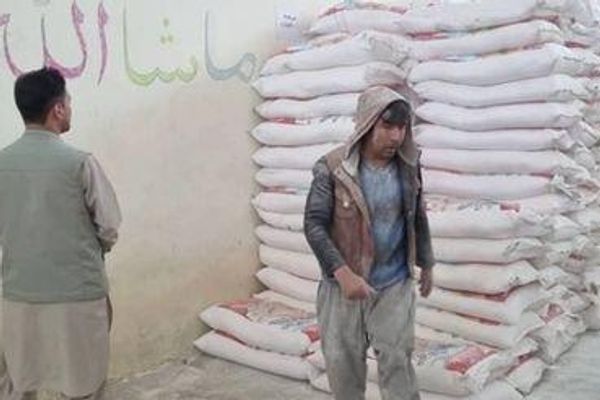 افغانستان اوسمهال د خپلې اړتیا ۶۰سلنه غنم په کور دننه اوړه کوي