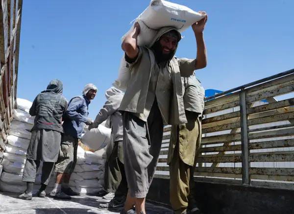 سازمان ملل: نزدیک به ٣٠ میلیون نفر در افغانستان از کمک‌های بشری در سال ٢٠٢٣ مستفید شدند 