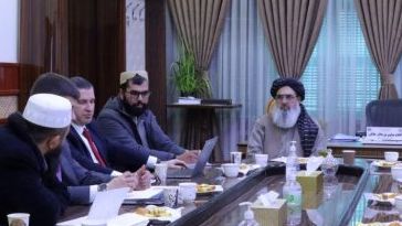 نور جلال جلالي له بلاروسي چارواکي سره د روغتیایي ظرفیت لوړونې په اړه خبرې کړي