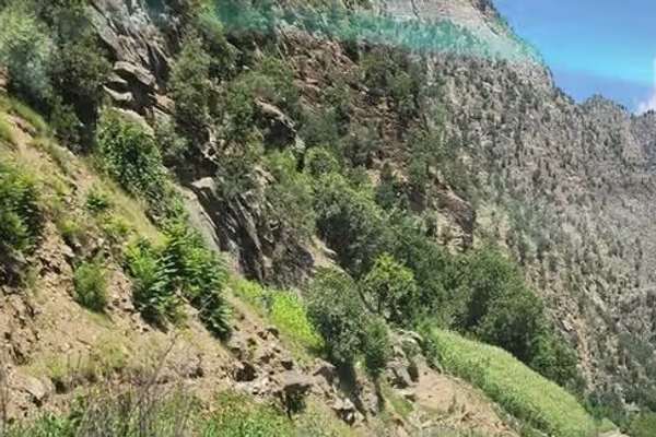 پاکستان ادعای طالبان درباره حمایت از حملات نظامی در نورستان را رد کرد