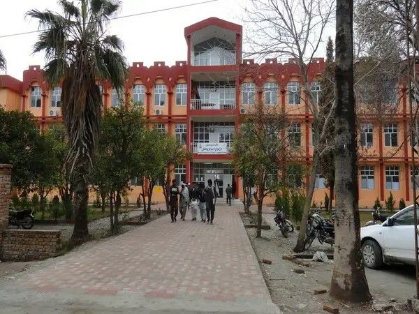 منابع: طالبان از رئیسان دانشکده‌های دانشگاه ننگرهار آزمون دینی اخذ کرد 