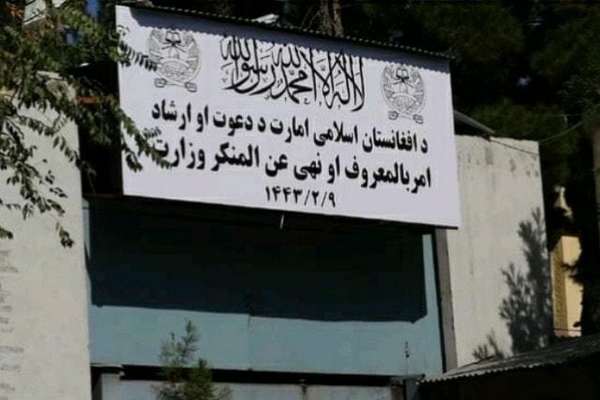طالبان وايي، په خوست او زابل ولایتونو کې یې ۲۲۲ رواني ناروغان راټول کړي دي