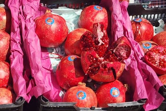 صادرات انار قندهار به قطر و امارات متحده عربی 'آغاز شده است'