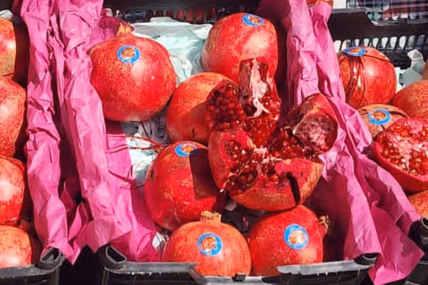 صادرات انار قندهار به قطر و امارات متحده عربی 'آغاز شده است'