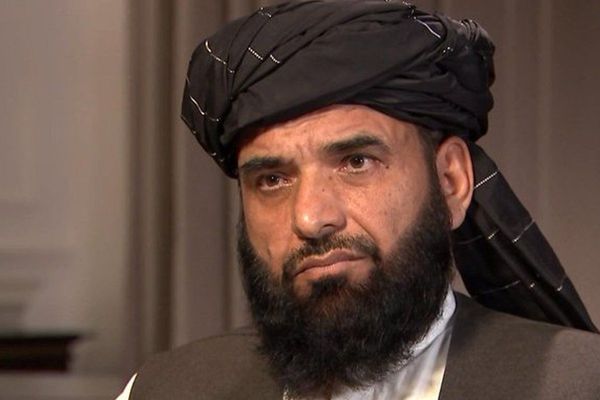 سهیل شاهین: طالبانو د نظامي میدان ترڅنګ سیاسي میدان هم ګټلی