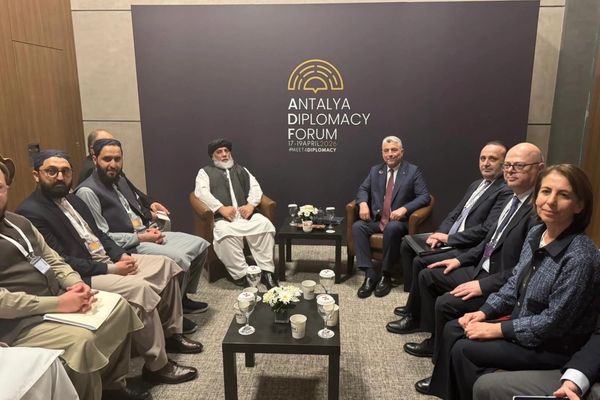 طالبانو له ترکیې وغوښتل چې په افغانستان کې د درملو د تولید پر سکټور پانګونې وکړي