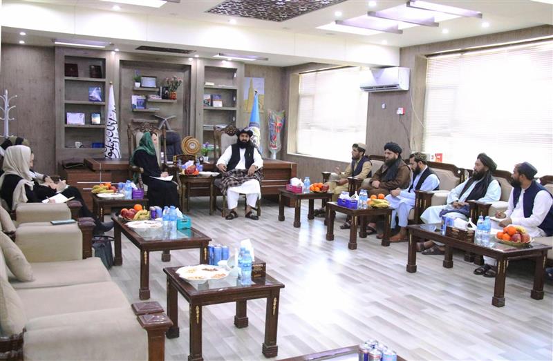  د ملګرو ملتونو استازې په ننګرهار کې د زیانمنو کورنیو د ملاتړ پر دوام ټینګار کړی  