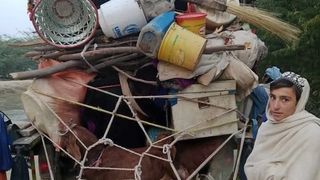 په پښتونخوا کې ریښتیا څه تېریږي؟