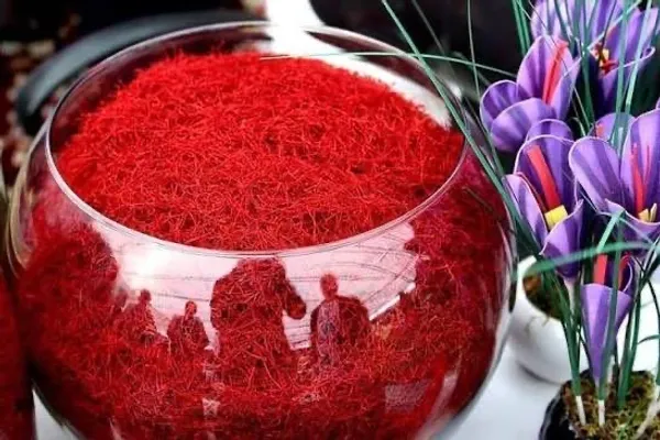 اتاق تجارت هرات: در کمتر از یکسال، افغانستان بیش از ۳۰ میلیون دالر زعفران صادر کرده است