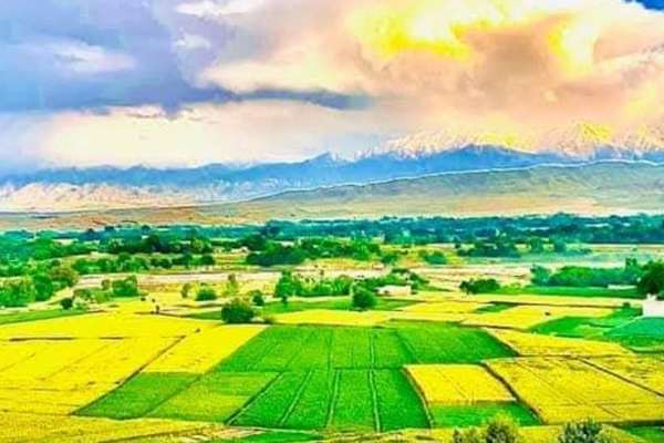 ننګرهار کې د ځمکې پر سر شخړه کې څلور کسان وژل شوي