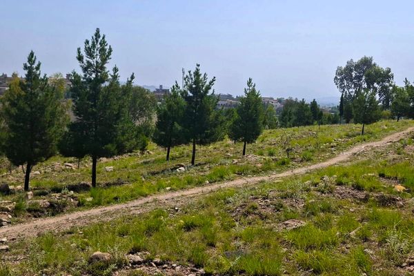 طالبانو د خوست په بیرغ تپه کې «عمومي او جهادي» موزیمونو ته ۱۵ جریبه ځمکه بېله کړې