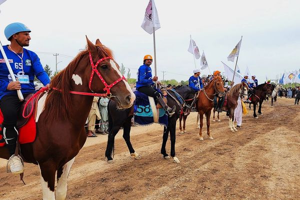 آغاز هشتمین دوره رقابتهای انتخابی اسبسواری افغانستان در هرات