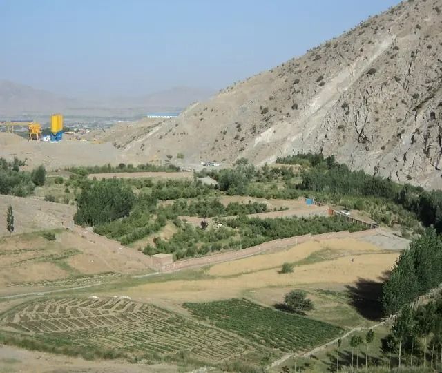 جبهه مقاومت ملی افغانستان: چهار عضو طالبان را در شکردره کابل کشتیم