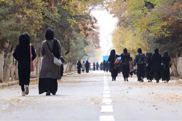 که طالبان پر افغانستان واکمن شوي نهوای اوس به ۱۱۴ زره نجونې له پوهنتونونو فارغې وې