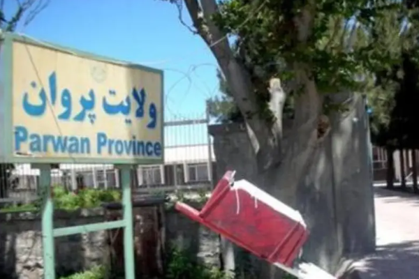 Military Official Among 4 Taliban Members Killed, Says NRF