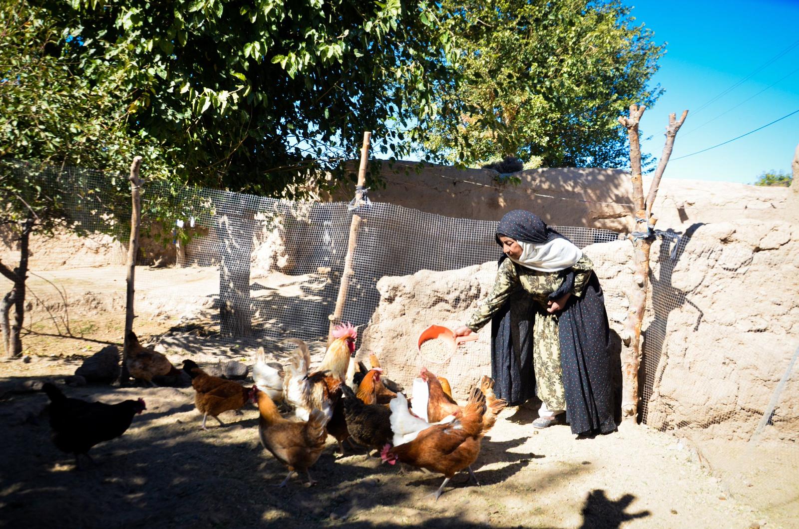سازمان می‌گوید امسال به ۱۵ هزار زن سرپرست خانواده در افغانستان کمک کرده است