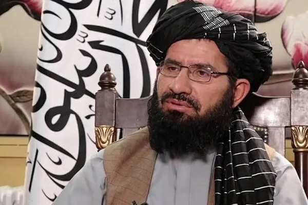طالبان وايي، بهرنۍ موسسې دې خپل پروګرامونه له دوی سره په همغږۍ ترسره کړي