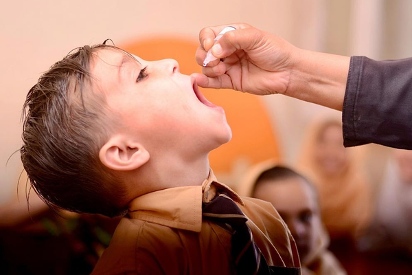 ۲۰۲۵کال کې؛ په پاکستان کې د ګوزڼ ۳۰ پېښې ثبت شوې دي