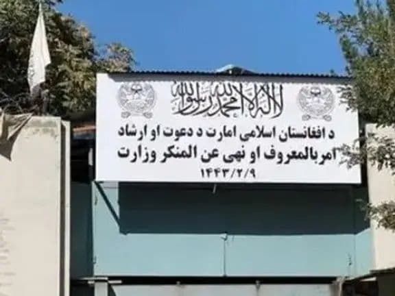 طالبان: په بلخ او سمنګان ولایتونو کې دوه کوډګر نیول شوي دي