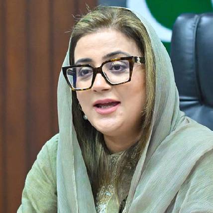 د پنجاب حکومت د افغان کډوالو په تړاو د معلوماتو ورکوونکو ته نغدي جایزه ټاکلې