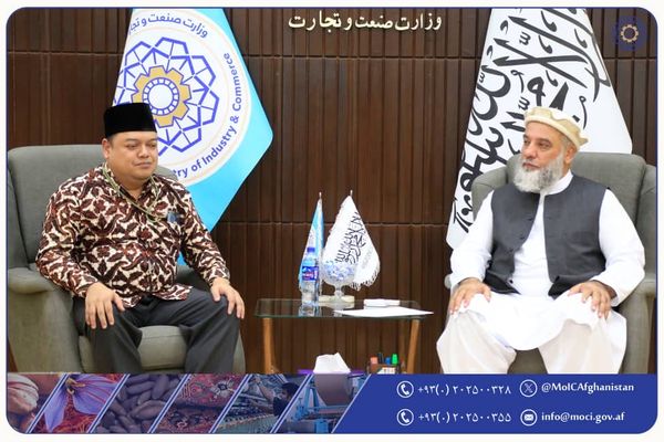 طالبان: إندونيسيا ترغب في توسيع التعاون التجاري والاستثماري مع أفغانستان