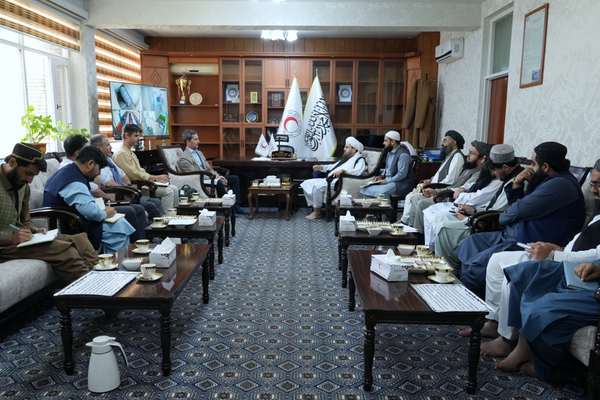 د اتریش او ډنمارک سره صلیب ادارې افغانستان ته د ستنېدونکو کډوالو ملاتړ پیلوي