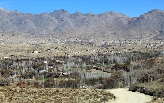 Taliban Publicly Flog Man In Ghazni For Alleged Extramarital Affair