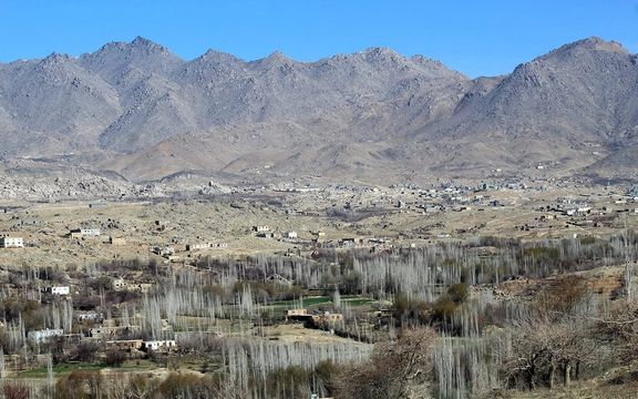 طالبان یک نفر را در غزنی در ملاء عام شلاق زد