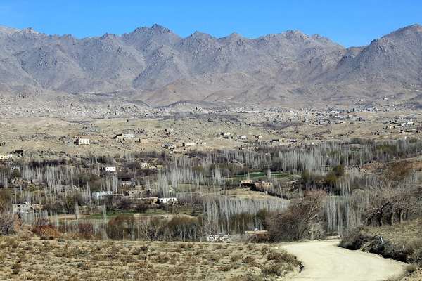 Taliban Publicly Flog Man In Ghazni For Alleged Extramarital Affair