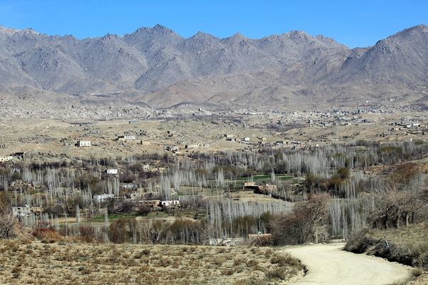 Taliban Publicly Flog Man In Ghazni For Alleged Extramarital Affair