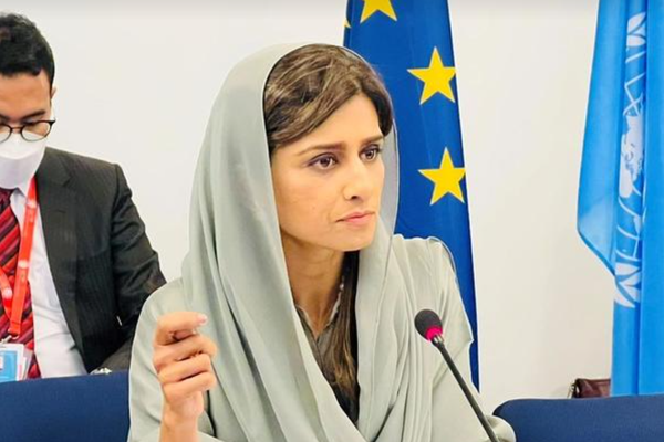 At Envoys Only Meet, Pakistan Sends High-Ranking Deputy Foreign Minister To Doha