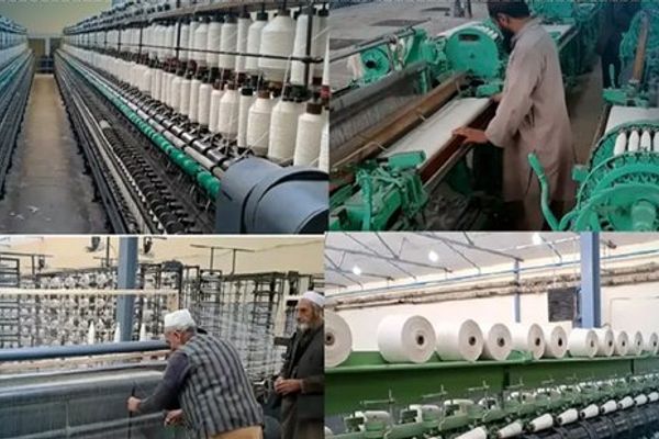 طالبان وايي تېر کال دولتي شرکتونو ۶۸،۳ میلیارده افغانۍ عواید راټول کړي