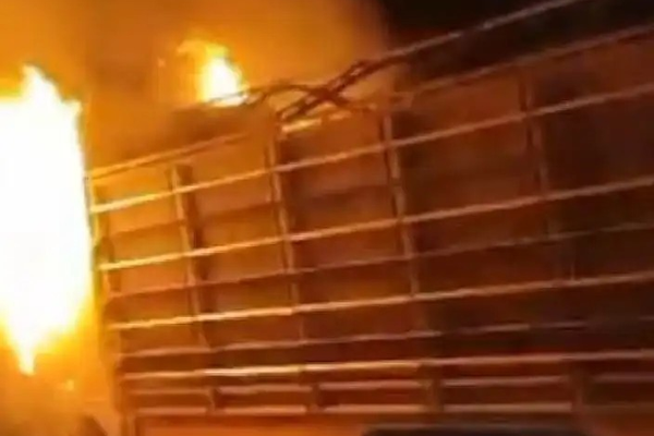 طالبان تؤكد إحراق شاحنتين محملتين بالفحم في سربل