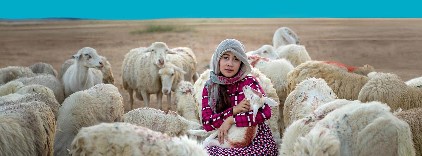 ملګري ملتونه: د نړۍ تر نیمایي زیات د څارویو څړځایونه د خرابېدو له ګواښ سره مخ دي