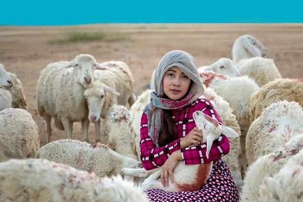 ملګري ملتونه: د نړۍ تر نیمایي زیات د څارویو څړځایونه د خرابېدو له ګواښ سره مخ دي