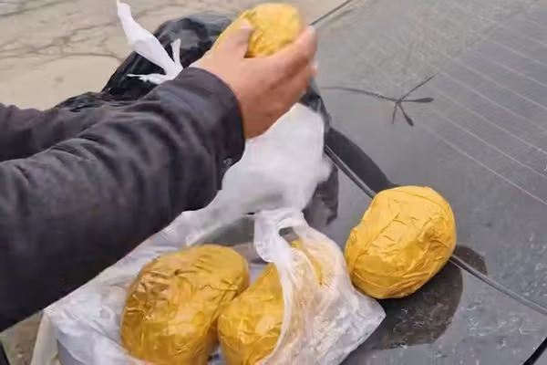 Uzbekistan Seizes Afghan-Origin Drugs, Arrests Two Suspects