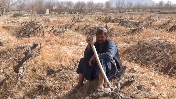 اوږدې وچکالۍ د کندهار کروندګر مایوسه کړي؛خو طالب مسوولين هم د ستونزې ژر حل ته اراده نه لري