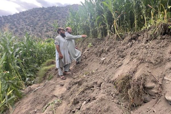 منظمة الأغذية والزراعة: الزلزال دمّر 500 هكتار من الأراضي الزراعية في كنر
