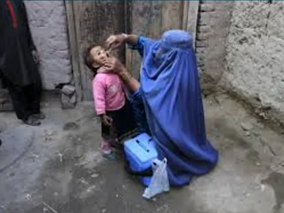 Polio Cases May Rise in Kandahar Due Door-to-Door Campaign Limitations, Warns WHO
